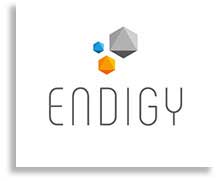 Logo ENDIGY GmbH