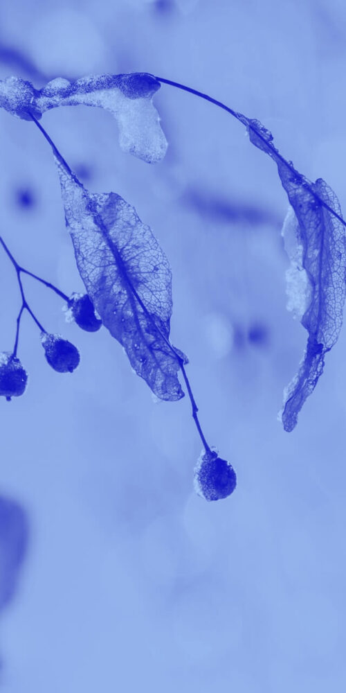 Cover Spotlight Energiewende