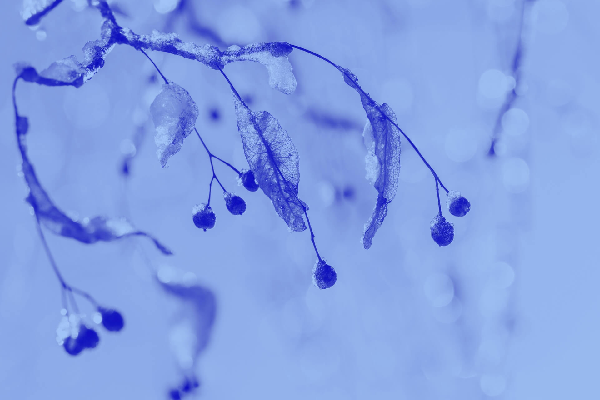 Cover Spotlight Energiewende