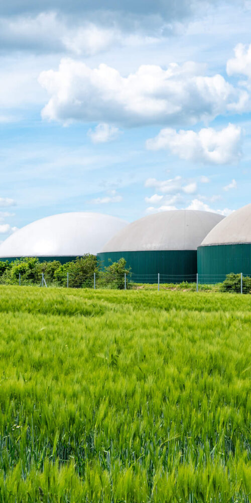 Abbildung einer Biogasanlage bei sonnigem Wetter