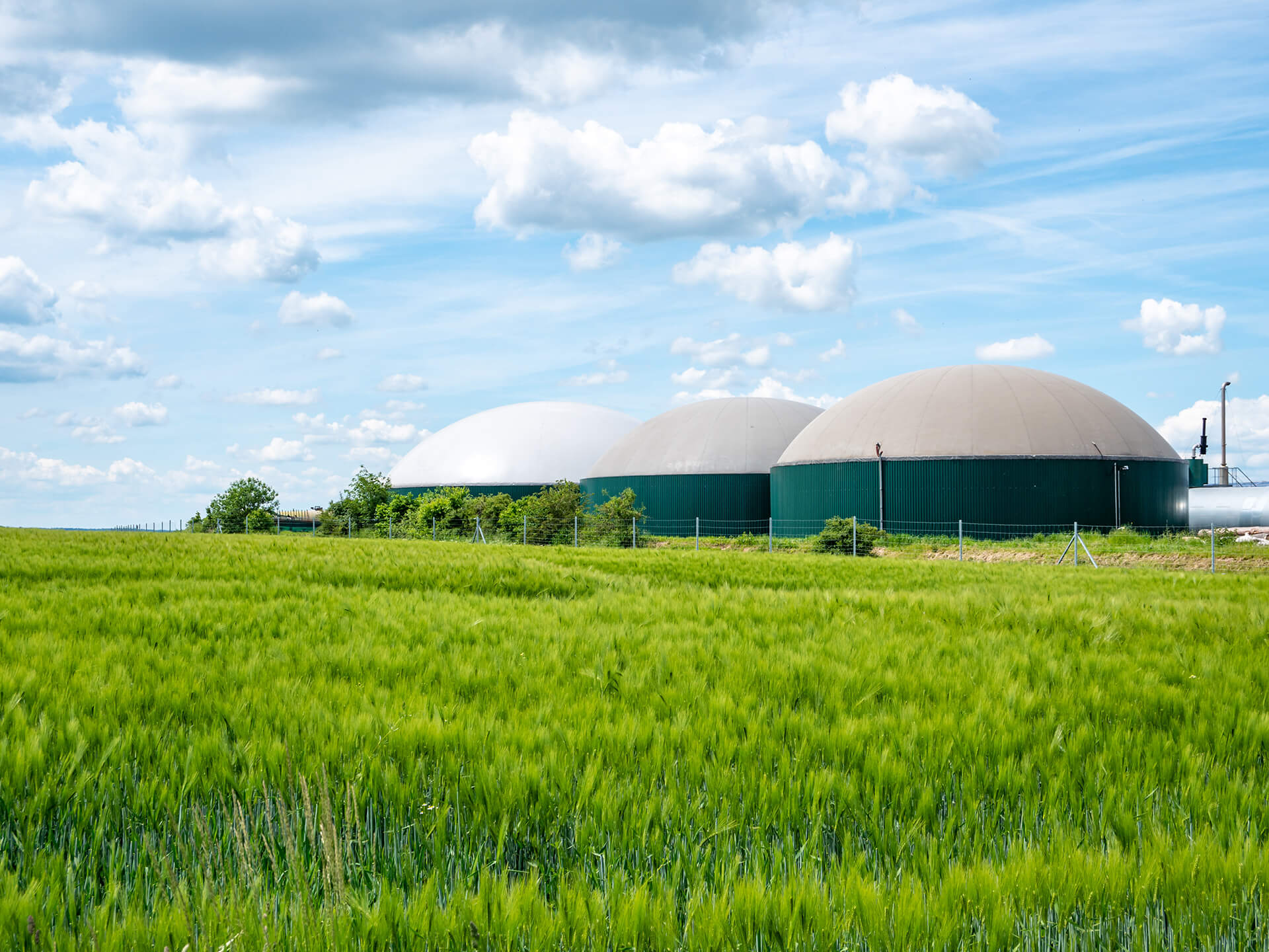 Abbildung einer Biogasanlage bei sonnigem Wetter